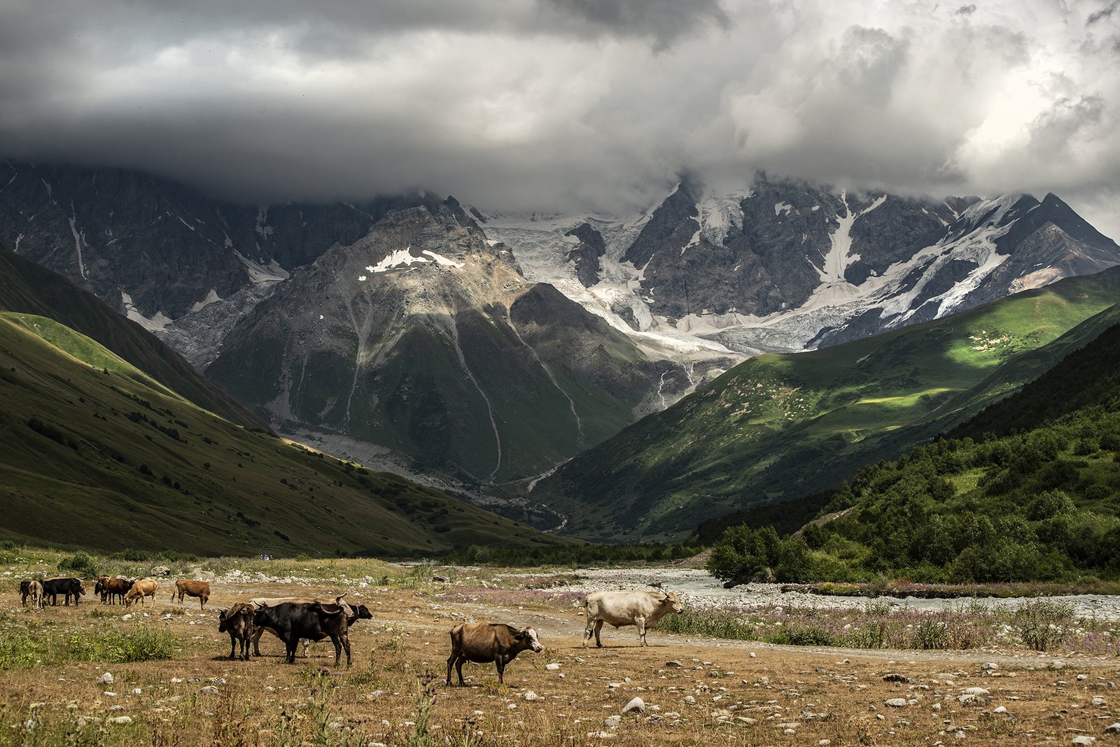 Georgienreise Frühstück im Kaukasus Kaukasus-Reisen Urlaub in Georgien Reise Kleingruppe Tiflis Tbilissi David Garedschi David Gareji Kachetien Lagodechi Telawi Signaghi Stepantsminda Georgische Heerstraße Kasbek Kasbegi Ananuri Mzcheta Uplisziche Gori Kutaissi Gelati Swanetien Mestia Ushguli Batumi Schwarzes Meer deutschsprachige Reiseleitung kleine feine Hotels und Gasthäuser Wanderungen Kultur georgische Geschichte georgische Kulinarik