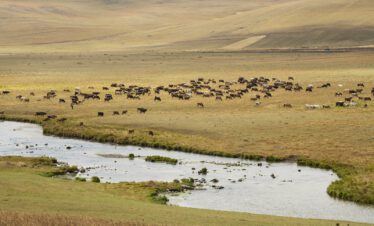 Georgienreise Frühstück im Kaukasus Kaukasus-Reisen Urlaub in Georgien Reise Kleingruppe Tiflis Tbilissi David Garedschi David Gareji Kachetien Lagodechi Telawi Signaghi Stepantsminda Georgische Heerstraße Kasbek Kasbegi Ananuri Mzcheta Uplisziche Gori Kutaissi Gelati Swanetien Mestia Ushguli Batumi Schwarzes Meer deutschsprachige Reiseleitung kleine feine Hotels und Gasthäuser Wanderungen Kultur georgische Geschichte georgische Kulinarik
