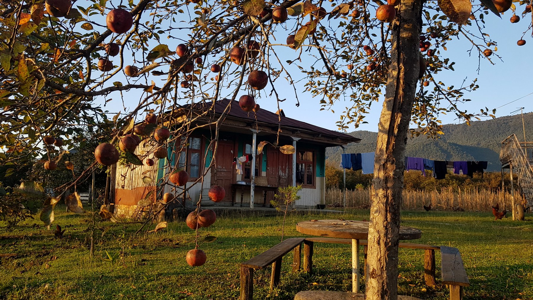 Georgienreise Frühstück im Kaukasus Kaukasus-Reisen Urlaub in Georgien Reise Kleingruppe Tiflis Tbilissi David Garedschi David Gareji Kachetien Lagodechi Telawi Signaghi Stepantsminda Georgische Heerstraße Kasbek Kasbegi Ananuri Mzcheta Uplisziche Gori Kutaissi Gelati Swanetien Mestia Ushguli Batumi Schwarzes Meer deutschsprachige Reiseleitung kleine feine Hotels und Gasthäuser Wanderungen Kultur georgische Geschichte georgische Kulinarik