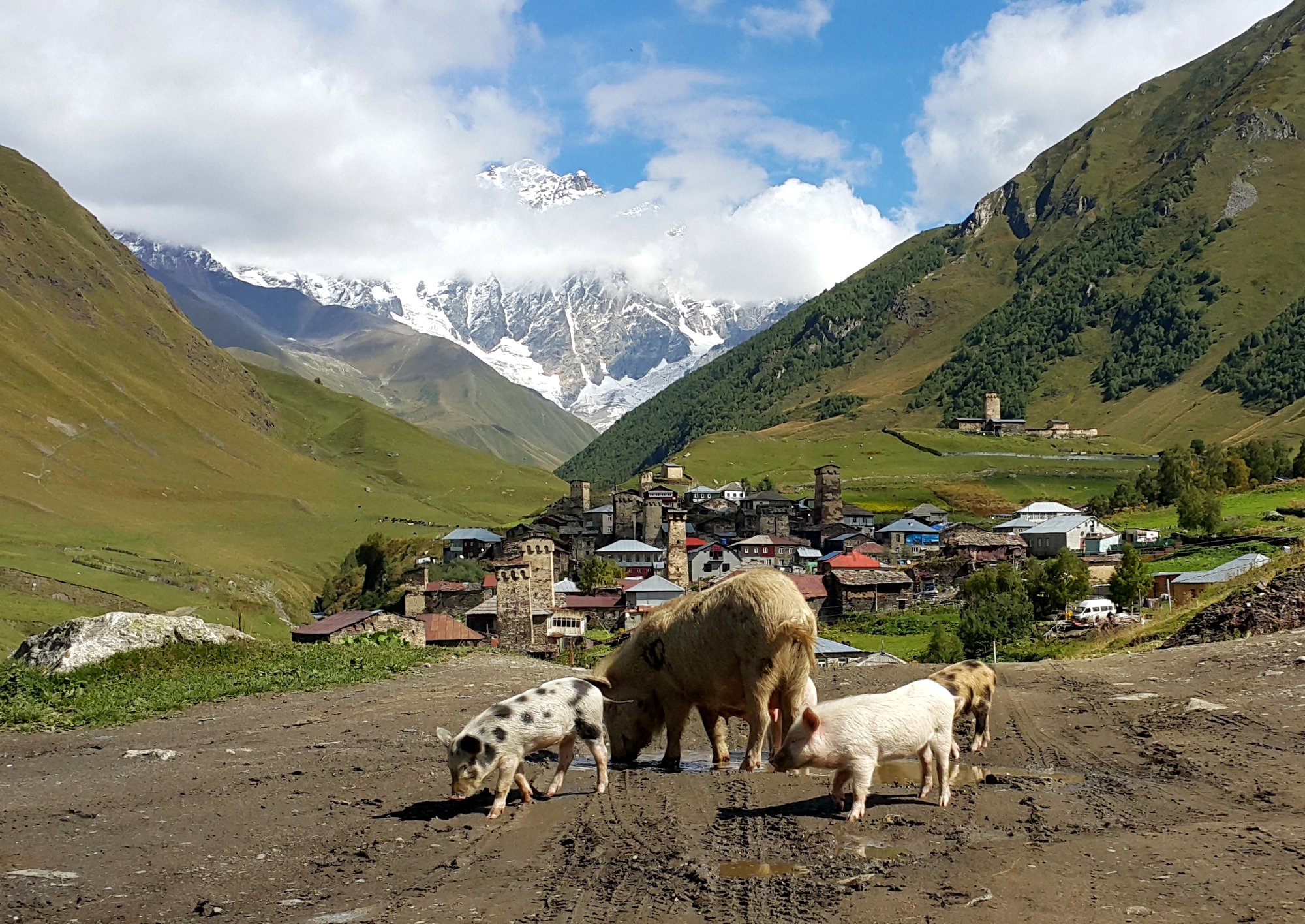 Georgienreise Frühstück im Kaukasus Kaukasus-Reisen Urlaub in Georgien Reise Kleingruppe Tiflis Tbilissi David Garedschi David Gareji Kachetien Lagodechi Telawi Signaghi Stepantsminda Georgische Heerstraße Kasbek Kasbegi Ananuri Mzcheta Uplisziche Gori Kutaissi Gelati Swanetien Mestia Ushguli Batumi Schwarzes Meer deutschsprachige Reiseleitung kleine feine Hotels und Gasthäuser Wanderungen Kultur georgische Geschichte georgische Kulinarik