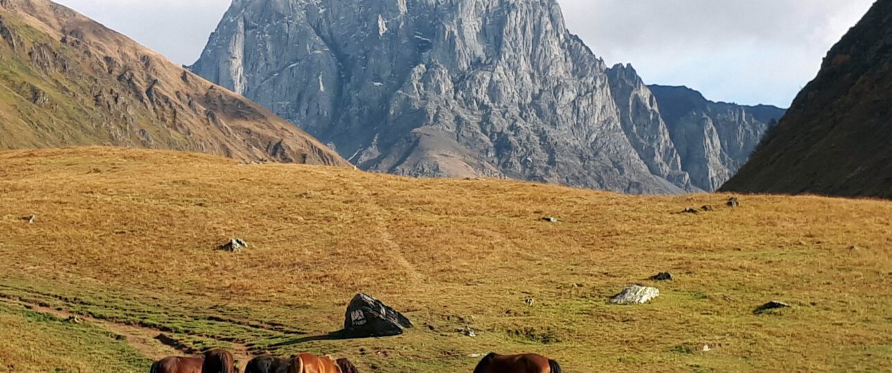 Referenz Kaukasus-Reisen