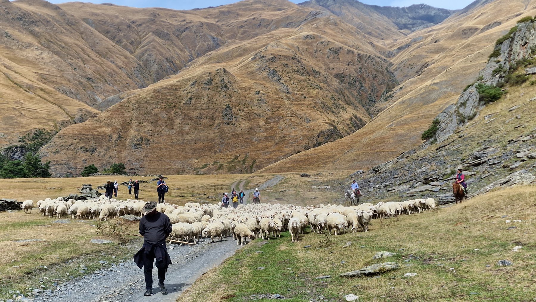 Georgien Reise 4x4 Jeeptour Offroad Tour Tuschetien Omalo Berge Kaukasus Urlaub Ferien Abenteuer Abenteuerreise Offroadtour Offroadreise individuell Kleingruppe Hochgebirge Steppe Tiflis Tbilissi Tbilisi Kaukasus-Reisen