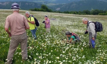 Reise Flora im Kaukasus Georgien - eine botanische Reise mit Kaukasus-Reisen