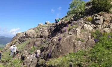 Reise Flora im Kaukasus Georgien mit Kaukasus-Reisen