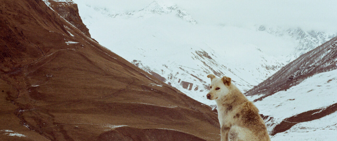 Foto von Eka Bugianishvili