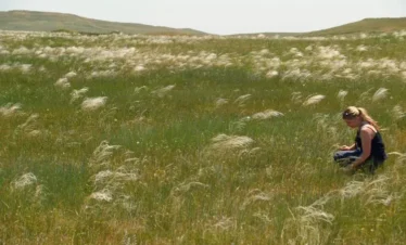 Reise Flora im Kaukasus Georgien mit Kaukasus-Reisen