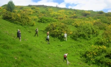 Reise Flora im Kaukasus Georgien - eine botanische Reise mit Kaukasus-Reisen