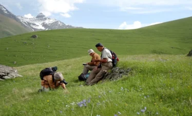 Reise Flora im Kaukasus Georgien - eine botanische Reise mit Kaukasus-Reisen