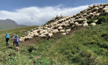 Georgien Reise Georgienreise Wandern Wanderurlaub Trekking Trecking Treckingreise Tour Tuschetien Tusheti Omalo Schatili Shatili Chewsuretien Khevsureti mountains Berge Kaukasus Urlaub Ferien Abenteuer Abenteuerreise Offroadtour Offroadreise individuell Kleingruppe Hochgebirge Steppe Tiflis Tbilissi Tbilisi Kaukasus-Reisen Natur Tiere Transhumance Pferde Guide Zelten Camp Atsunta Pass Stepantsminda Juta Dshuta Kasbegi Kazbegi Kasbek Shatili Schatili