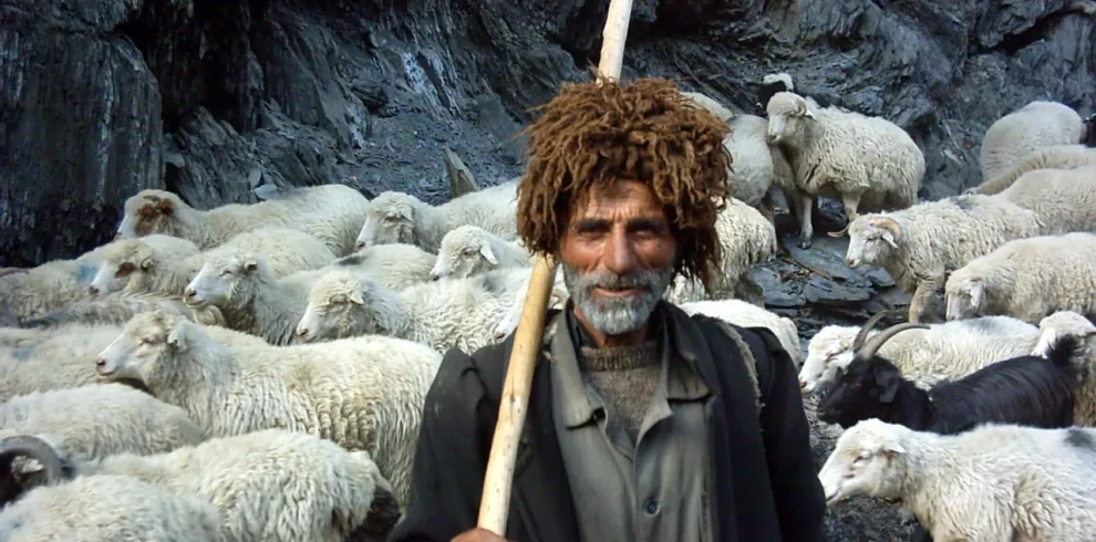 Georgien Reise Wandern Viehtrieb Schafabtrieb Schafe Schäfer 4x4 Jeeptour Offroad Tour Tuschetien Tusheti Omalo Berge Kaukasus Urlaub Ferien Abenteuer Abenteuerreise Offroadtour Offroadreise individuell Kleingruppe Hochgebirge Steppe Tiflis Tbilissi Tbilisi Kaukasus-Reisen Natur Tiere Transhumance Pferde