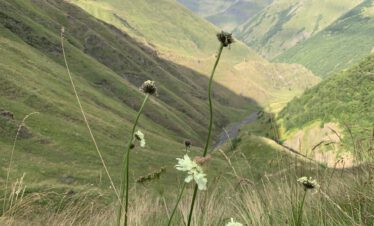 Trekkingreise Stepantsminda - Omalo mit Kaukasus-Reisen. Foto: Peter Gall