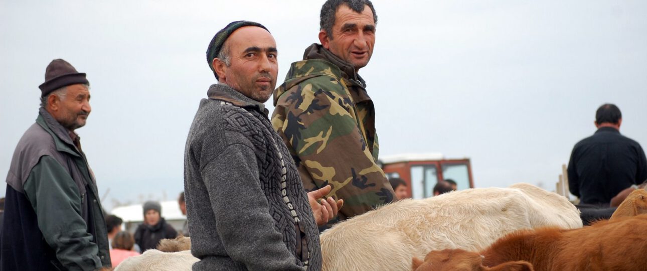 Informationen, Impressionen und Fotos vom Basar Kabali in Kachetien Georgien