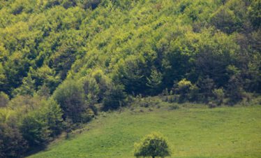 Selbstfahrerreise Armenien Mietwagen Reise Kaukasus-Reisen Foto: Vahagn Grigoryan