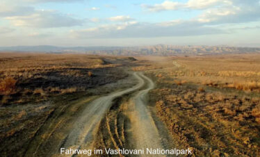 Fahrweg im Vashlovani Nationalpark Georgien