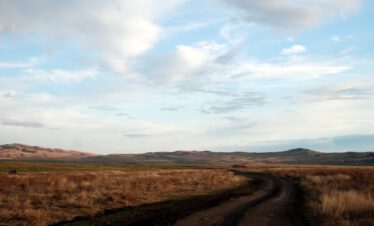 Sandweg schlängelt sich durch die weite goldene Steppe von Vashlovani im Abendlicht, Georgien