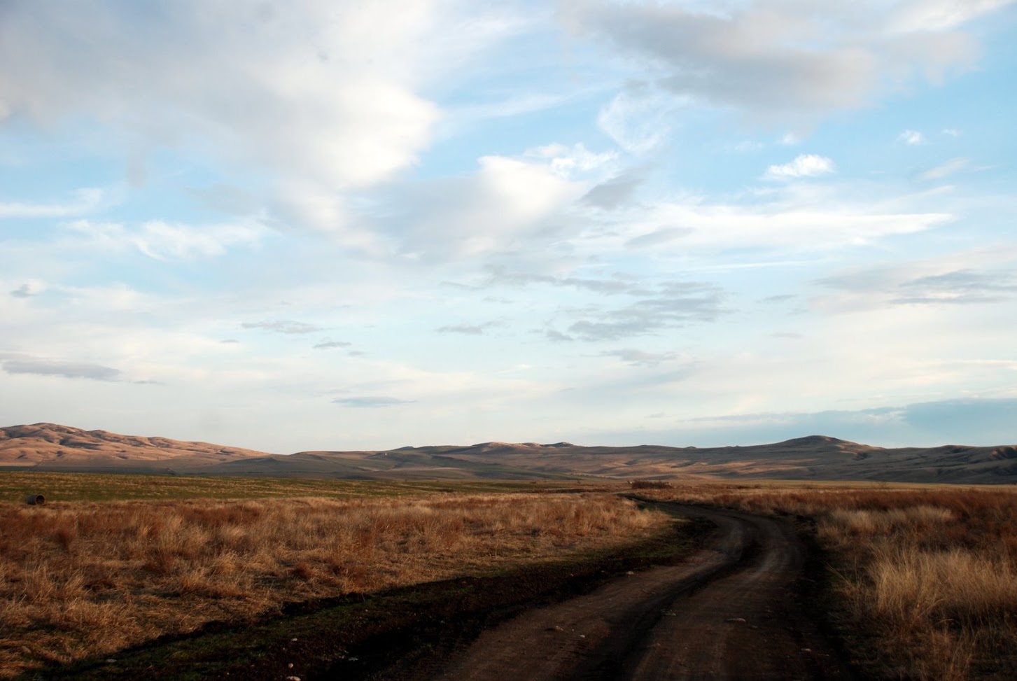 Sandweg schlängelt sich durch die weite goldene Steppe von Vashlovani im Abendlicht, Georgien