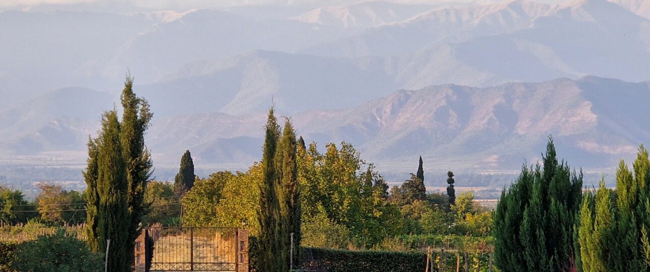 Einfahrt Weingut Chateau Mosmieri Kachetien Georgien mit Blick auf den Großen Kaukasus – Georgien-Weinreise Wein und Kaukasus