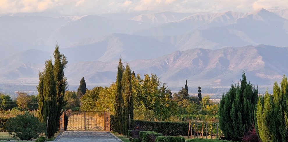 Einfahrt Weingut Chateau Mosmieri Kachetien Georgien mit Blick auf den Großen Kaukasus – Georgien-Weinreise Wein und Kaukasus