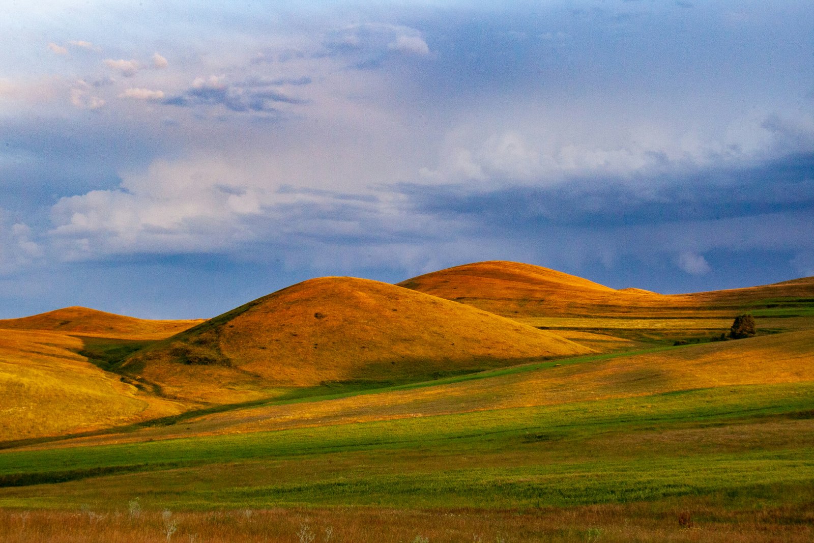 Goldene orange-grüne Hügellandschaft bei Gjumri Armenien im Abendlicht mit dramatischem blau-lila Wolkenhimmel