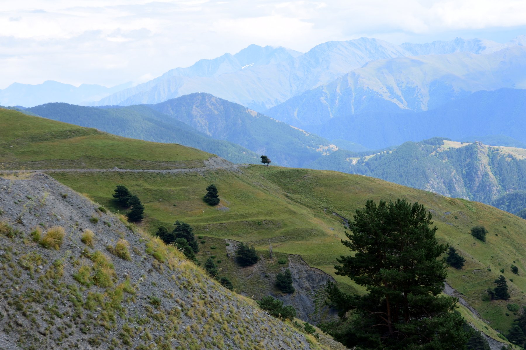 Hochalm mit Tannen und weiten Bergketten in Tuschetien, Georgien