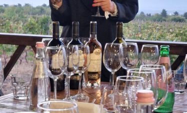 Junge Sommelière erklärt bei einer Weinverkostung auf einem Weingut in Kachetien Georgien verschiedene Weine im Weinberg