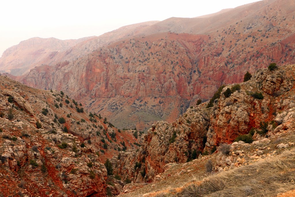 Dramatische rote und orangefarbene Felswände in der Schlucht bei Norawank in Armenien mit tiefen Schluchten und vereinzelten Bäumen