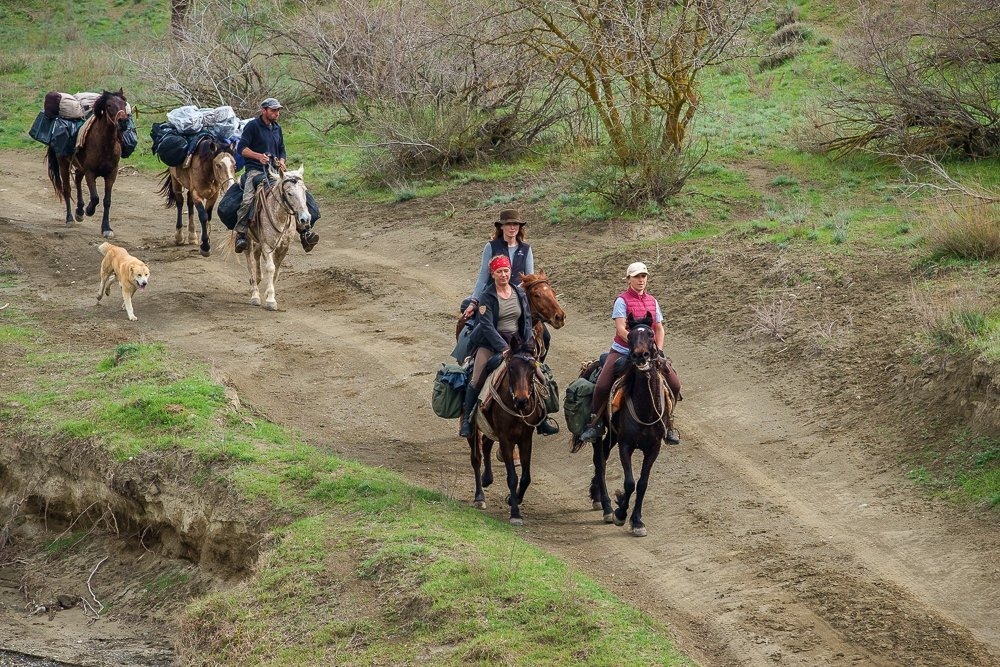 Reitergruppe mit Guide und Packpferden durchquert eine enge Erdschlucht im Nationalpark Vashlovani, Georgien