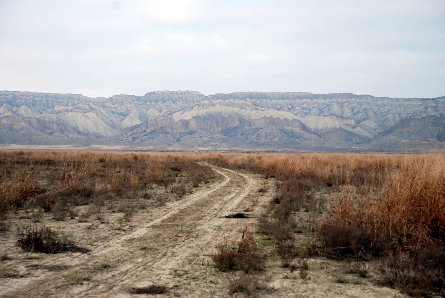 Einsame Piste durch die weite goldbraune Samukhi-Ebene vor dem langen Tafelberg-Panorama des Nationalparks Vashlovani, Georgien