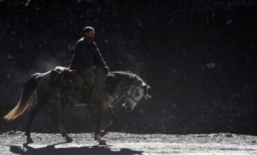 Tuschetischer Hirte zu Pferd im Gegenlicht beim Viehtrieb durch den Großen Kaukasus