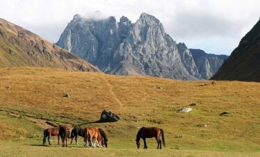 Eine Gruppe brauner Pferde grast auf einer Weide vor der imposanten Felswand des Chaukhi-Massivs in Georgien.