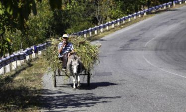 Ein Mann sitzt rauchend auf einem mit Heu beladenen Eselkarren auf einer Landstraße in Armenien
