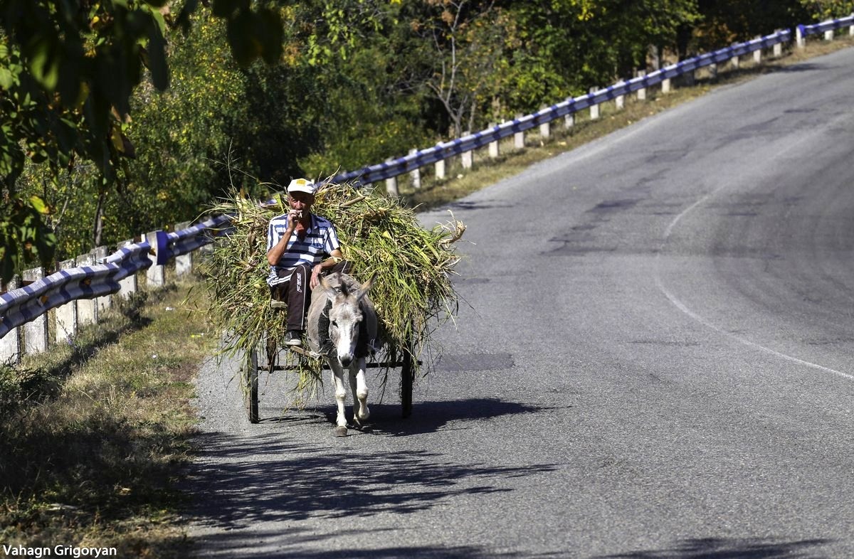 Ein Mann sitzt rauchend auf einem mit Heu beladenen Eselkarren auf einer Landstraße in Armenien